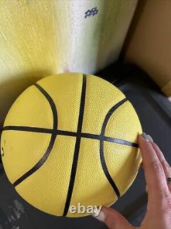 DribbleUp SMART BASKETBALL Junior Size Indoor/Outdoor Basketball Basic